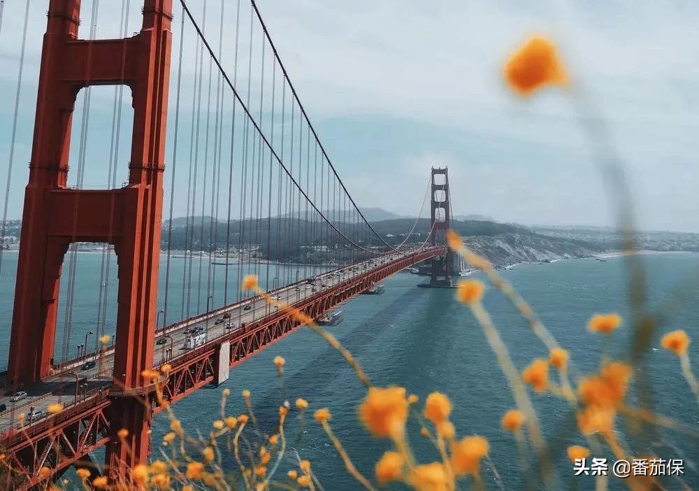 梅奥诊所与北京协和的技术对比,梅奥诊所国际医疗典范