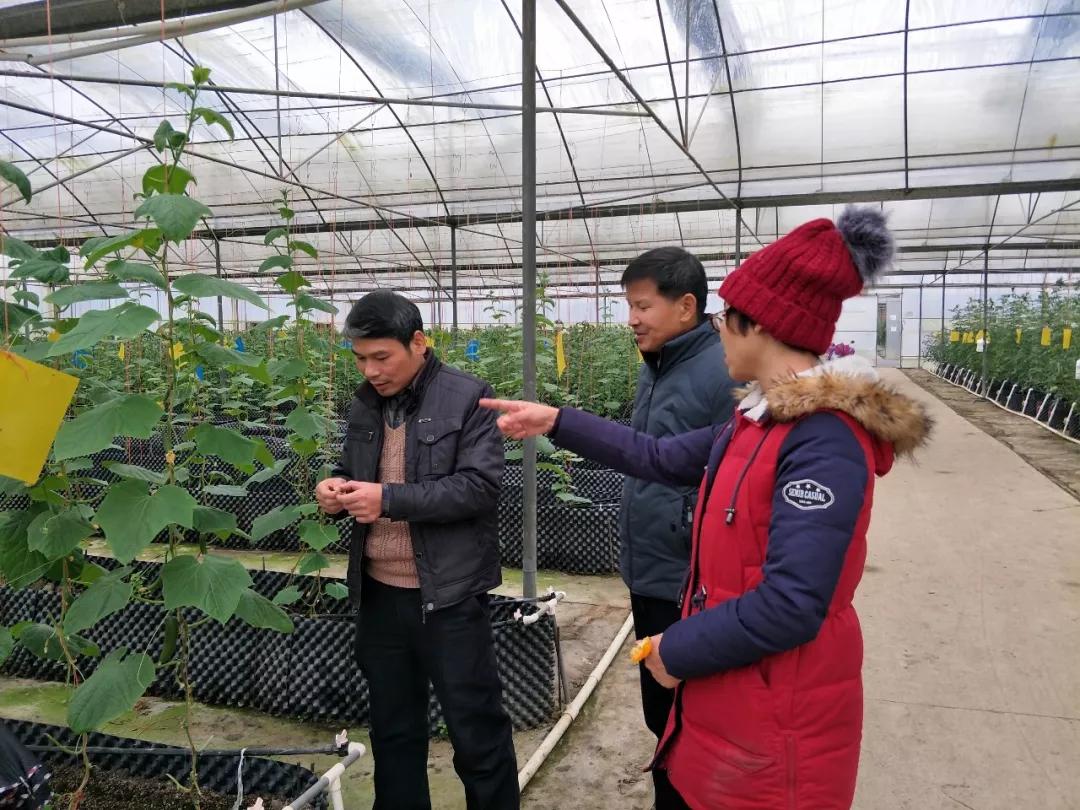 中农富玉大事记,中农富玉未来发展趋势