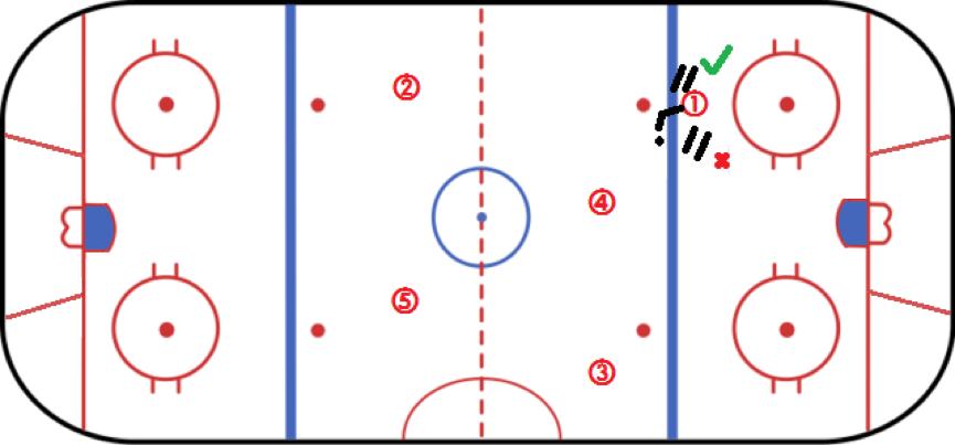 nhl打假球,nhl冲撞犯规