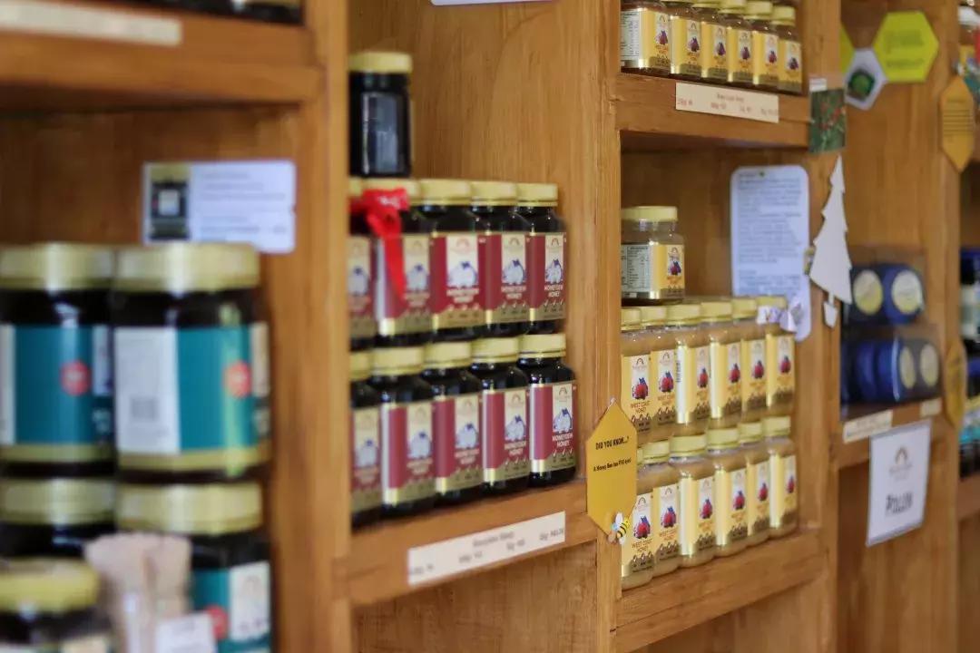 新西兰奥克兰圣诞假期,新西兰奥克兰圣诞旅游