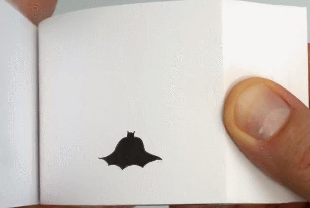 怎么才能知道猫咪的智商,你家猫爱看电视吗