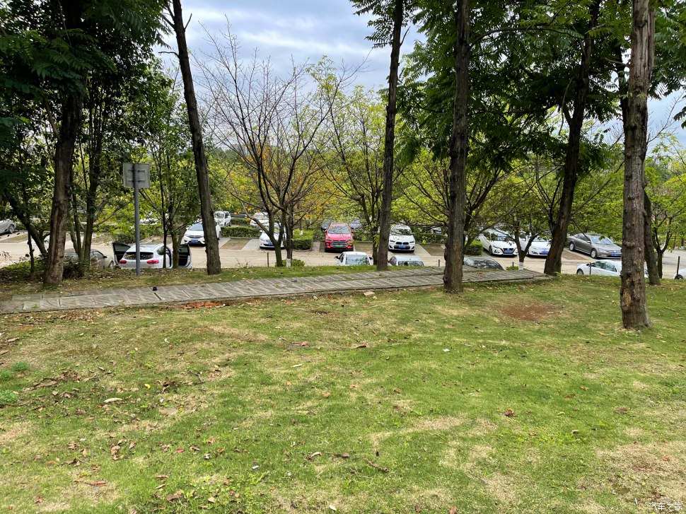 成都人会玩的景点,成都凤凰山公园可以爬山吗