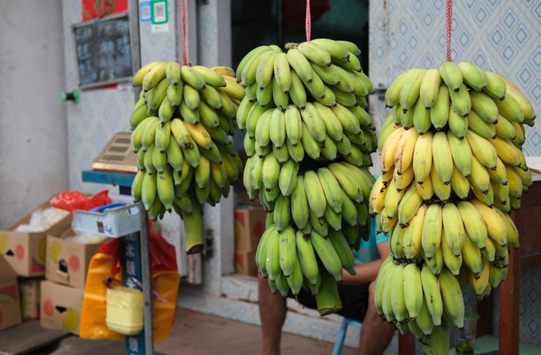 璇ヤ笉璇ュ幓娴峰彛,鏉ュ埌娴峰彛浣犲悗鎮斿悧
