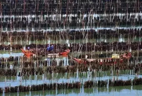 这就是福建,罗源一个正在崛起的城市