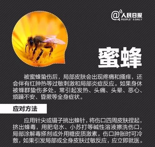 虫子叮咬引发疾病,虫子叮咬会得什么病
