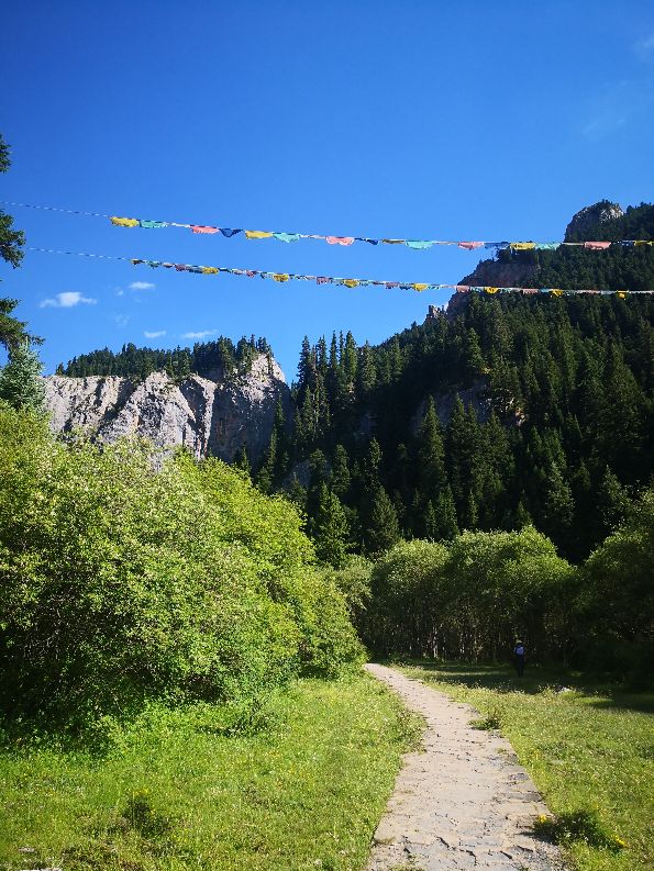 甘肃则岔石林旅游景区,则岔石林哪个漂亮