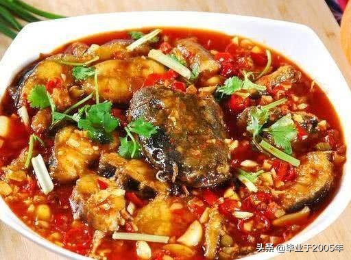 大连近海常见鱼类图鉴,大连哪里可以垂钓淡水鱼