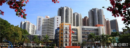 深圳民办学校排名榜一览表,深圳石岩公学是公办还是民办