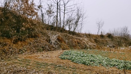 遇事最有水平的8种处理方法,遇事最有水平的处理方法人民日报