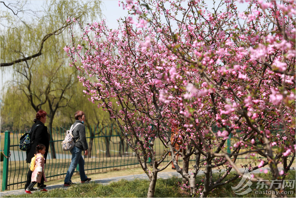 黄兴公园四季特色,黄兴公园美景