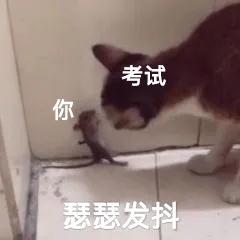 紧张想上厕所是什么原因,考试紧张想上厕所吃什么能缓解