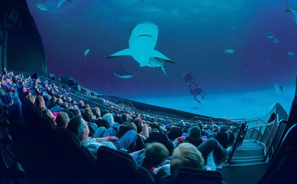 沙丘是2d还是3d电影,沙丘电影是3d拍摄的吗