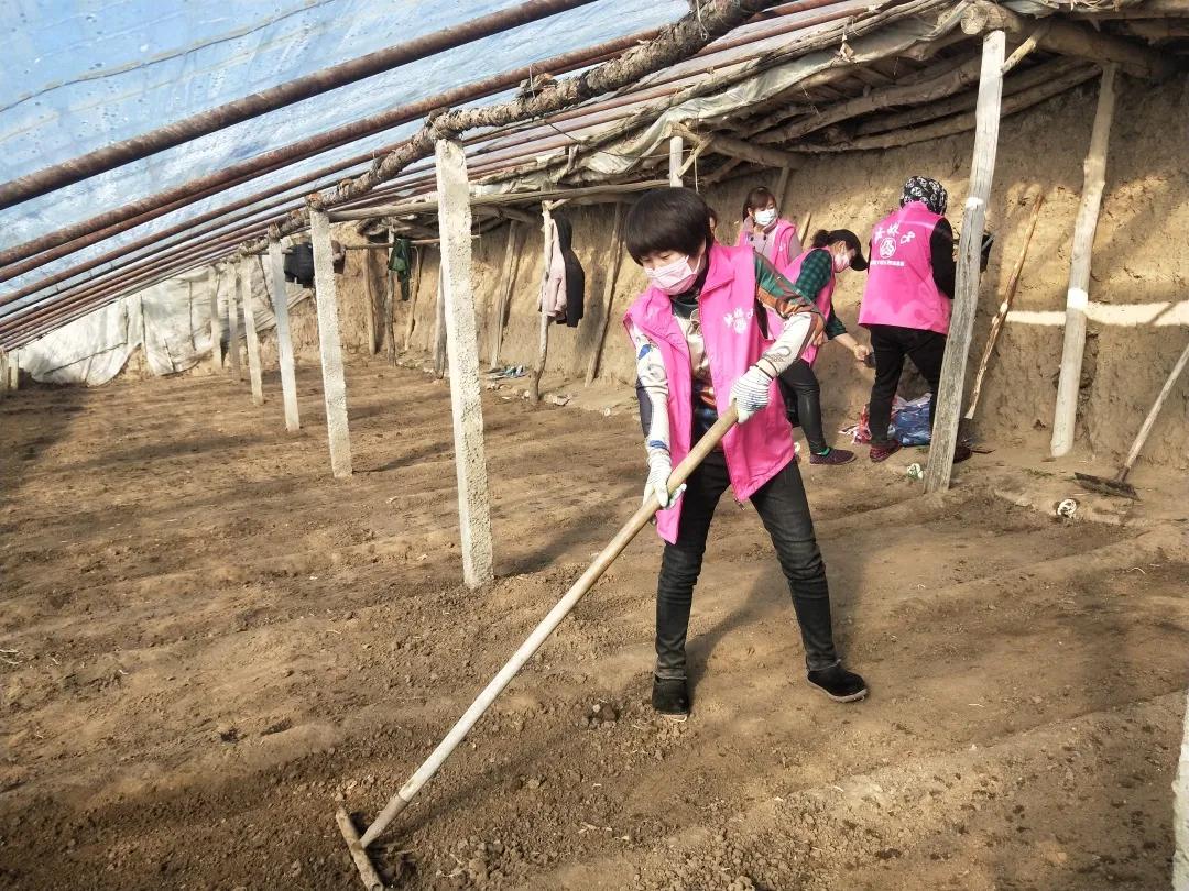 战疫芳华别样三八丨巾帼雷锋志愿先行·“抗疫生产”拼双赢“巾帼雷锋”助春耕