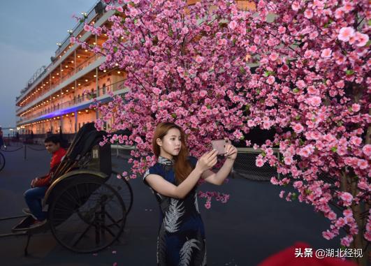 2021年武汉赏花季,武汉免费赏花踏青攻略