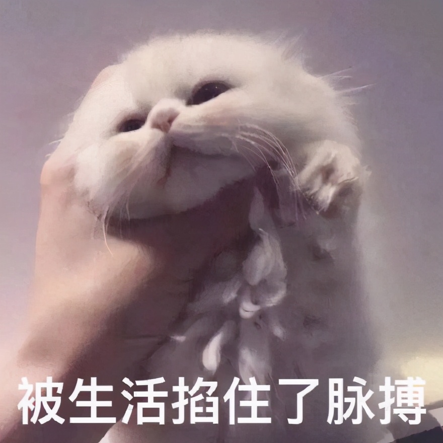 稳居文案,适合发朋友圈的憨憨文案