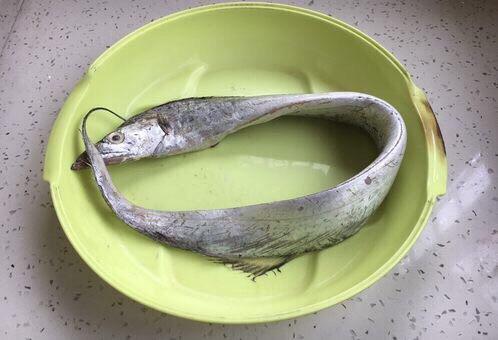 家常版红焖带鱼段，加水时教你1招，保证不返腥