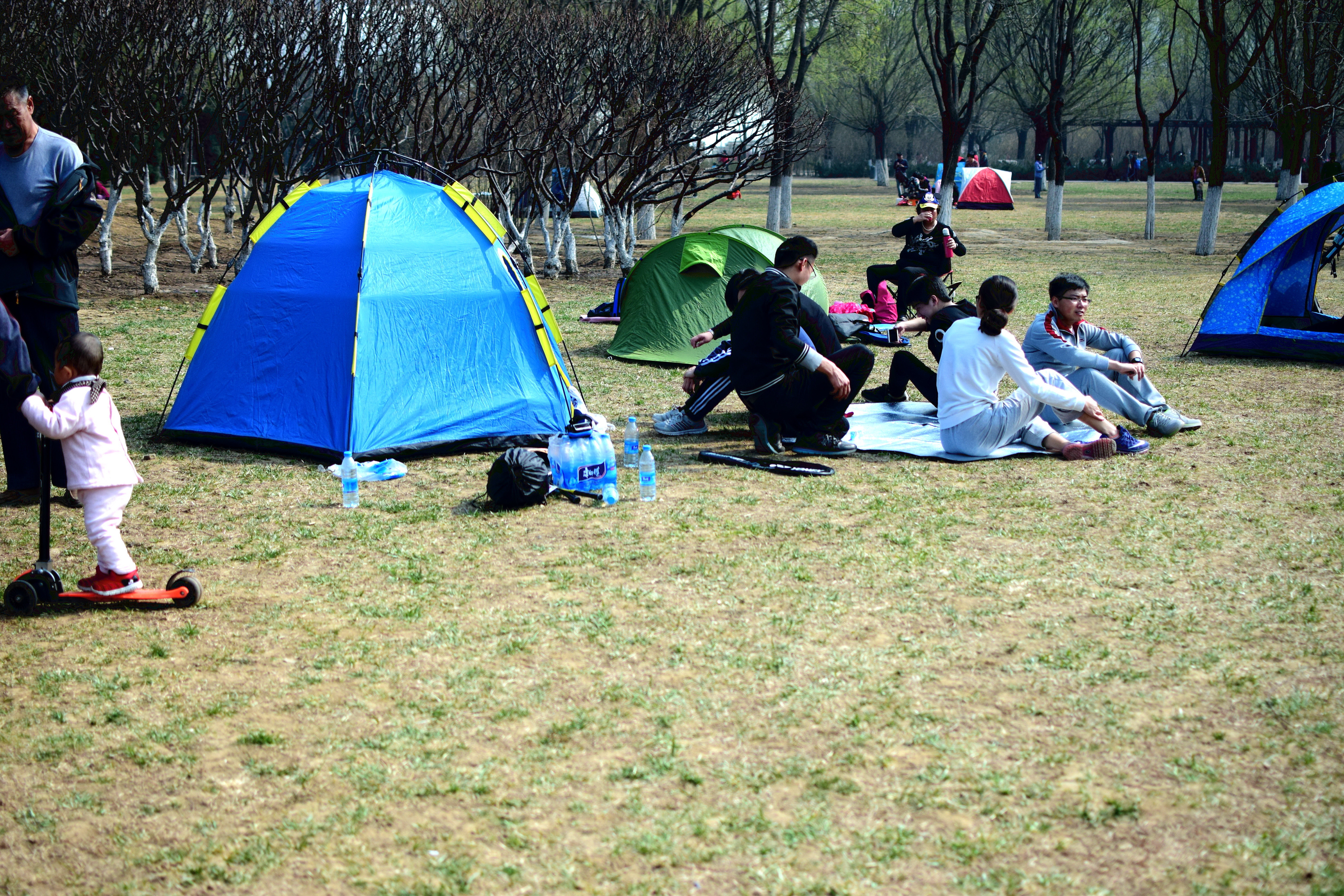 北京奥森让搭帐篷吗,奥森公园禁止营业吗