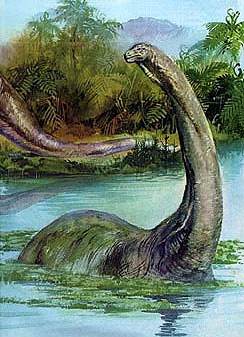 恐龙为什么体型那么巨大,恐龙那么大怎么生存