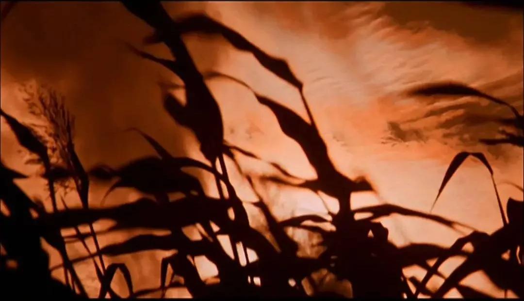 莫言饥荒描写,莫言山东高密东北乡