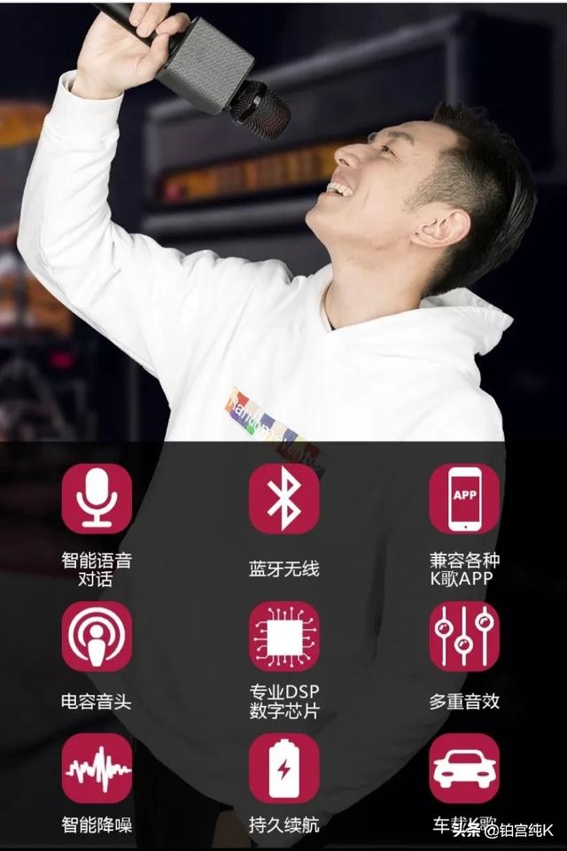 户外ktv麦克风哪个品牌好,ktv专用麦克风哪个品牌好