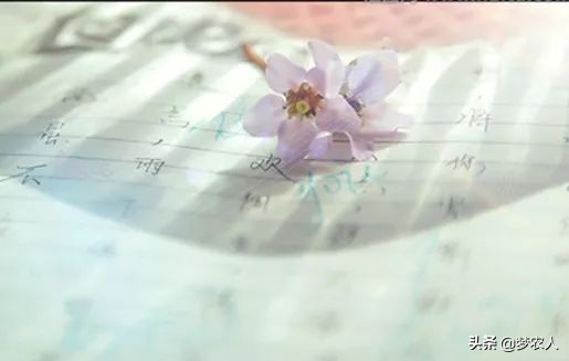 你怎么放进去，我就怎么拿出来