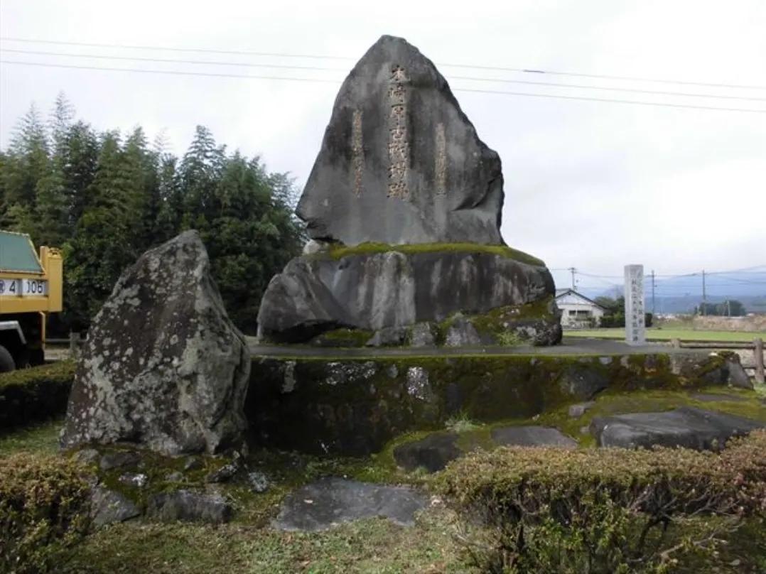 鐪熻,楝肩煶鏇煎瓙宀涙触涔夊紭