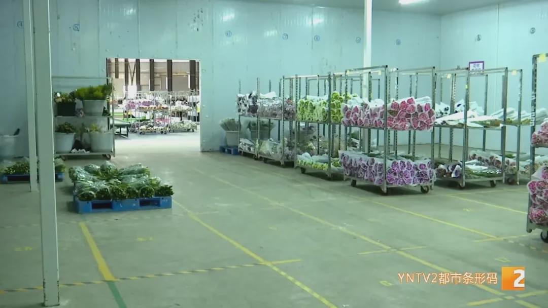 “现在收入基本上是翻了十倍！”花加以“花”为媒，助力花农走向新生活