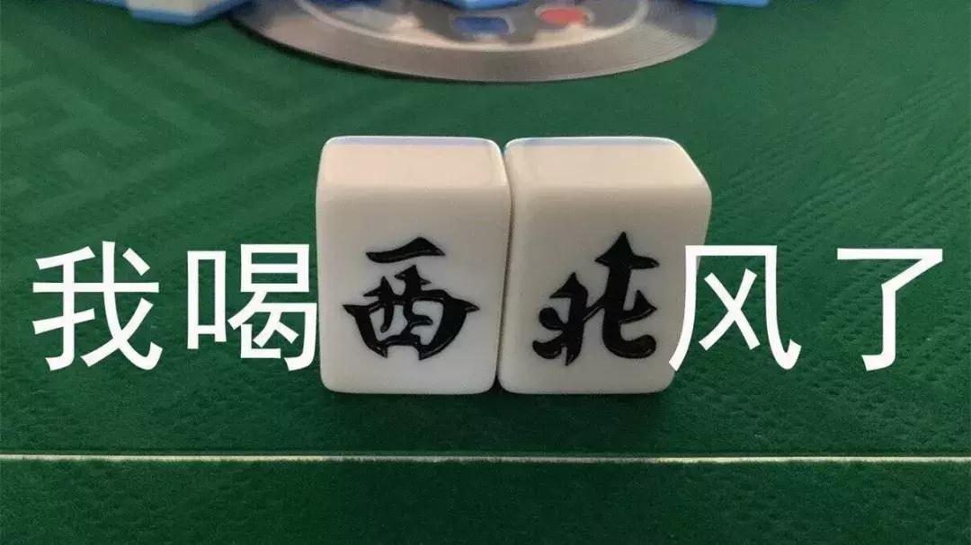 广东茂名一宝马女司机被打,女子连打10小时麻将后出事了