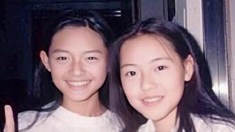 被小s怼得最惨的女明星,小s吐槽韩国明星和大s