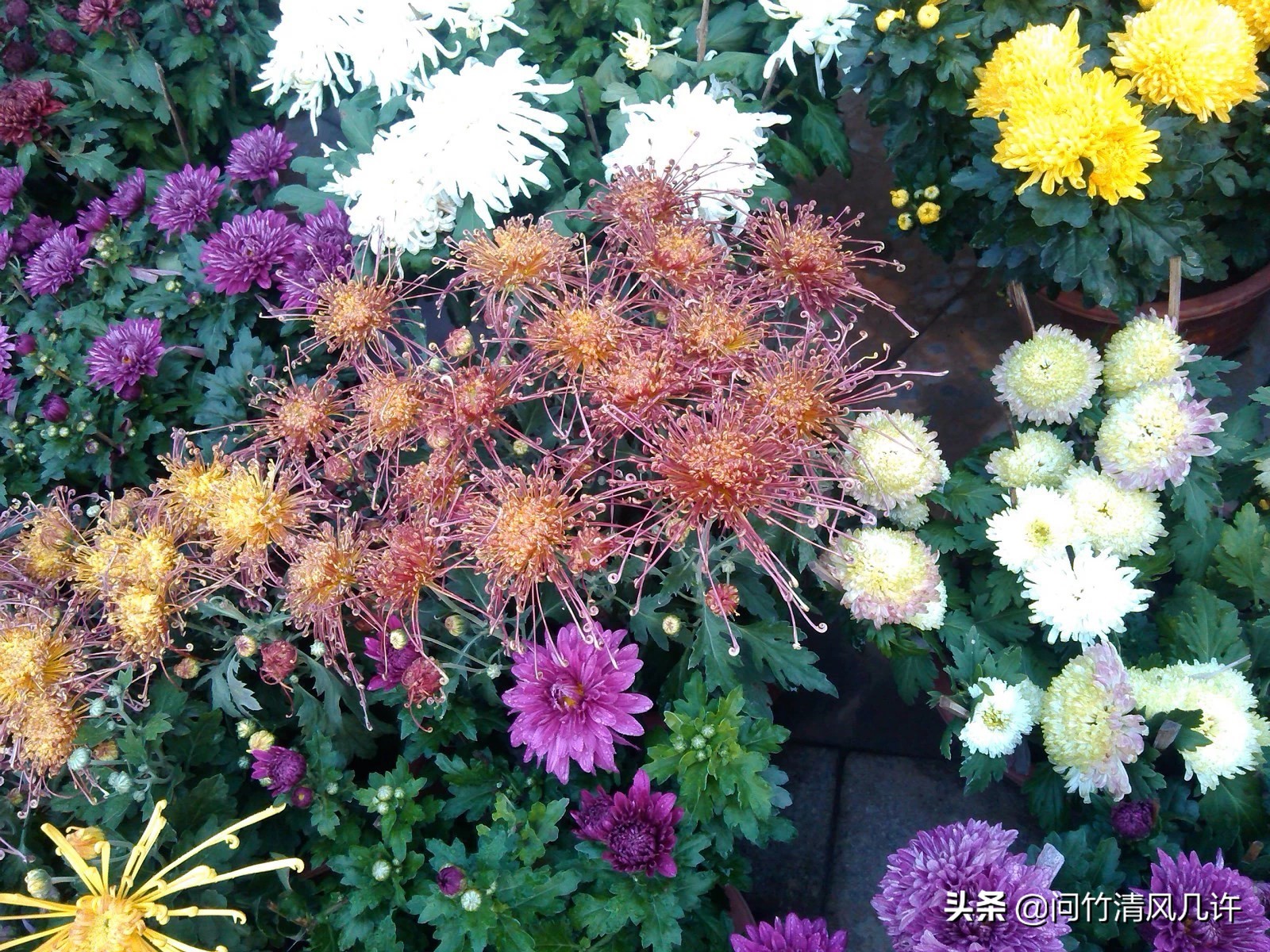 滕州历史文化古城,滕州古城在什么地方