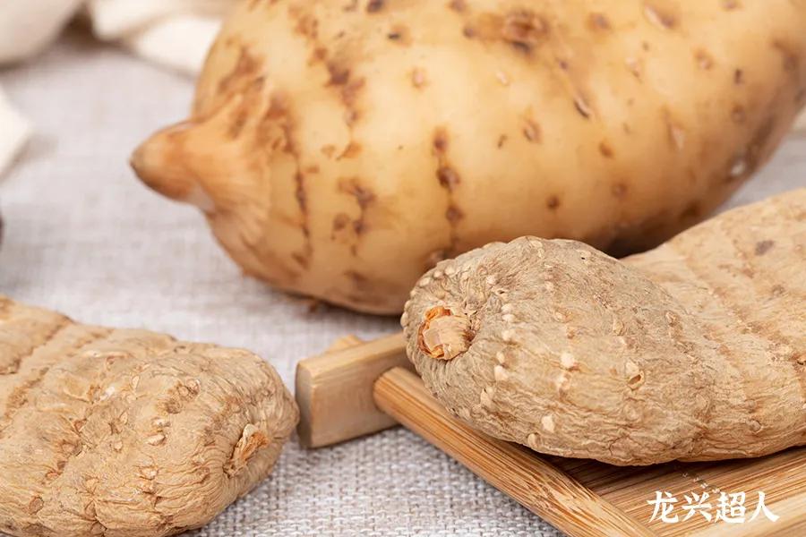 安徽道地药材天麻,天麻的道地药材