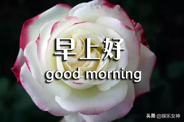 周三问候语简单幽默,早上短信问候语温馨正能量