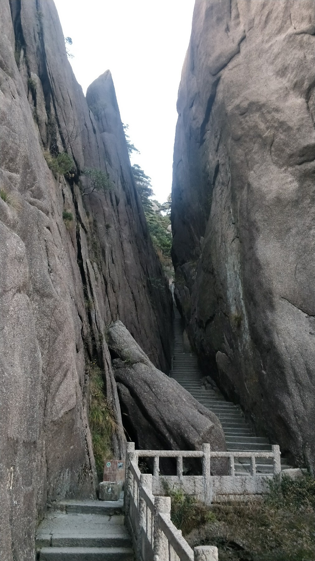 灏戝勾鏃剁殑姊︽兂榛勫北,瀛︾敓鏃朵唬姊︽兂