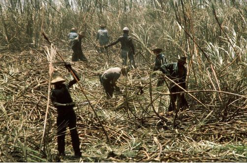 朗姆酒、白兰地、*药火**甚至是平底锅和蜡烛，都可以运到非洲换黑奴