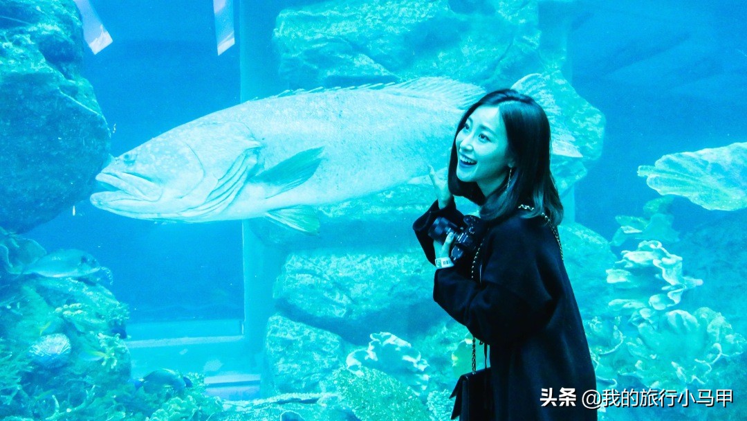 迪拜旅游最全最完美最实用攻略,迪拜旅游最详细攻略