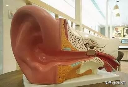 为什么有人耳屎是干的，而有人是油的？油耳朵的人都有狐臭吗？