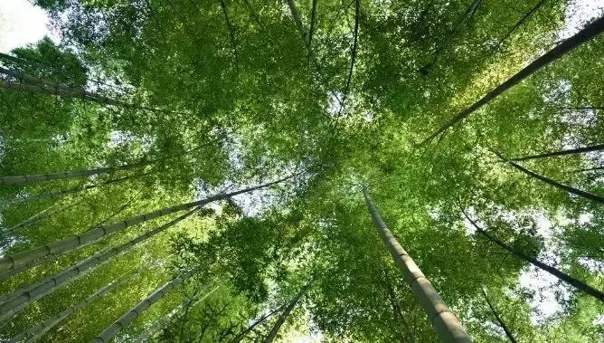 热炸!四川这些小众避暑佳境,光看图就能凉快10℃