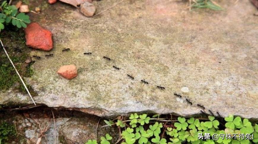 1000个冷知识大全,一张100元的钞票大概多重