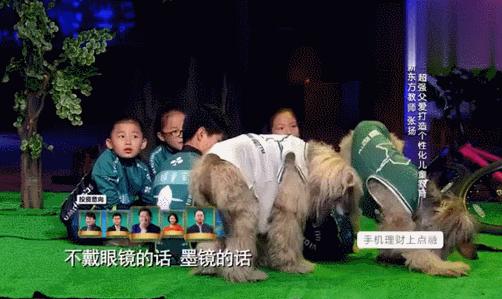 哪些明星做了微商,明星下海做微商