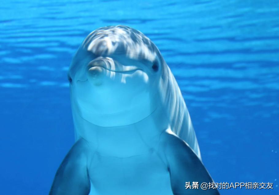 有男朋友还加陌生男性微信,有男朋友还加陌生男人的微信