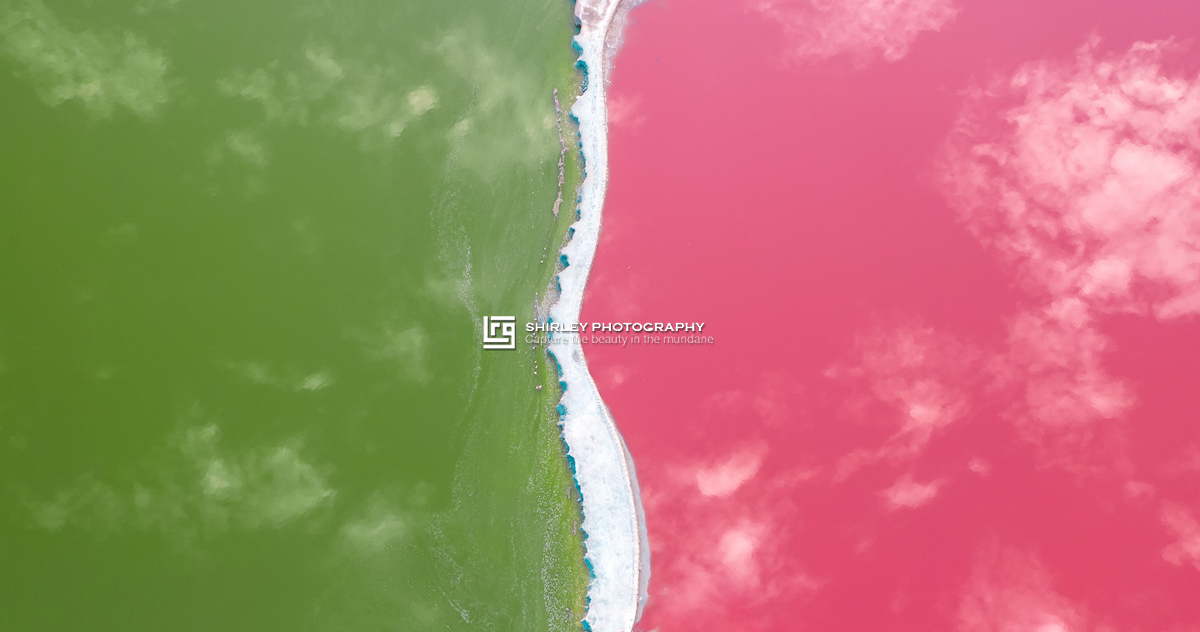 被中国人吃到濒临灭绝的食物,被中国人吃了千年不灭绝的食物