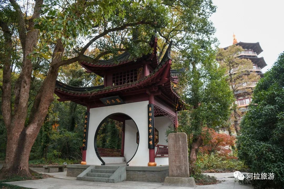 时髦！这座沿海小城居然藏着一波小众新玩法！|“...