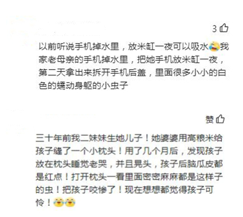 为什么密封好的大米还能长出虫子,大米里面为什么会长虫