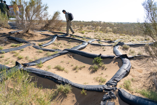 中国八大沙漠治理现状卫星地图,罗布泊沙漠现状