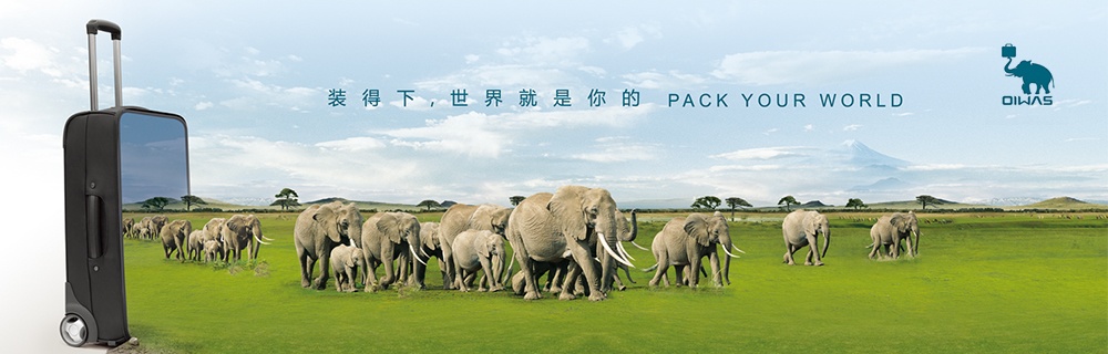 爱华仕营销策划案,爱华仕青年系列营销策划