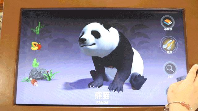 鍗佸ぇ鐑棬浜插瓙涔愬洯娣卞湷,鏂ヨ祫涓や嚎鐨勬父涔愬洯