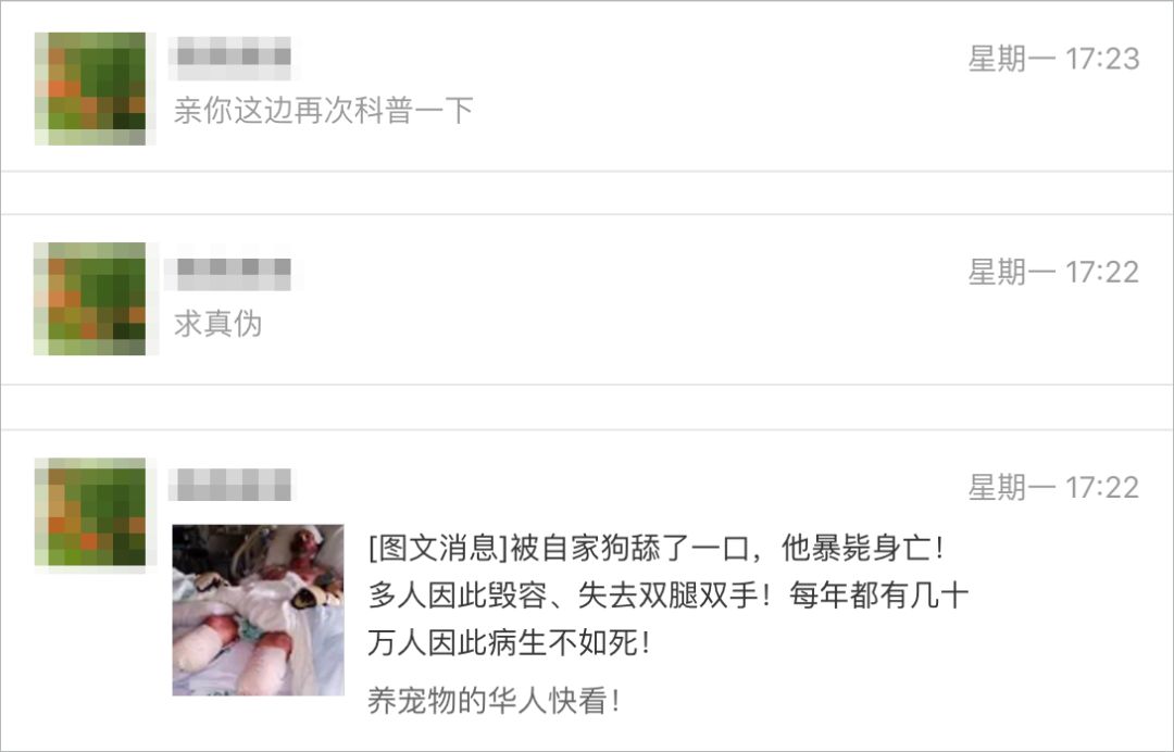 犬咬二氧化碳嗜纤维菌有什么特征,狗狗咬二氧化碳嗜纤维菌