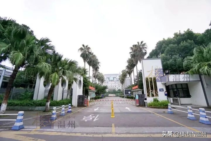 温州十二中学区二手房,温州夹缝学区房卖出天价