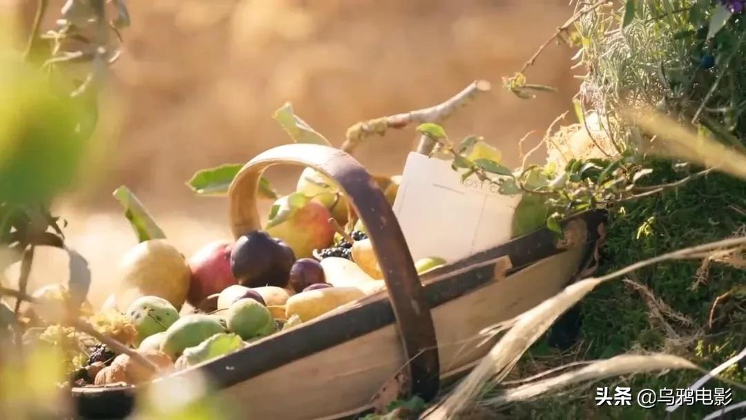 这也能拍出花?网飞又开挂了,每集都让我惊掉下巴