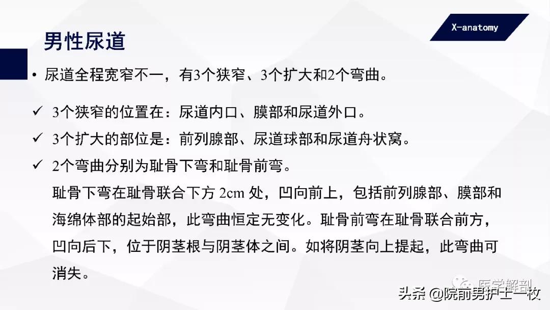 男性尿道损伤哪几种,男性尿道损伤怎么解决